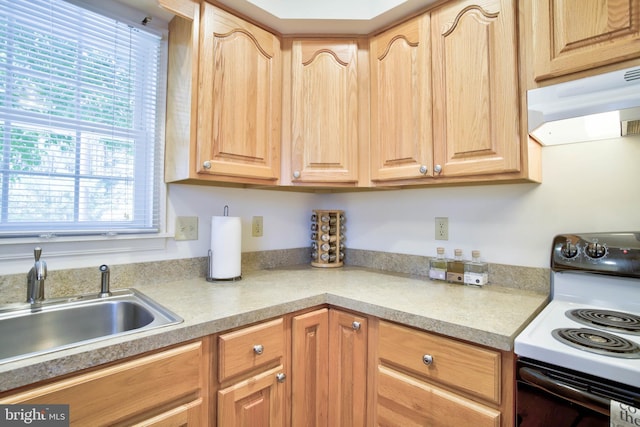 kitchen with electric range, light brown cabinets, under cabinet range hood, and a sink