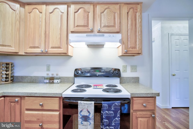 kitchen featuring light brown cabinets, under cabinet range hood, light countertops, electric stove, and wood finished floors
