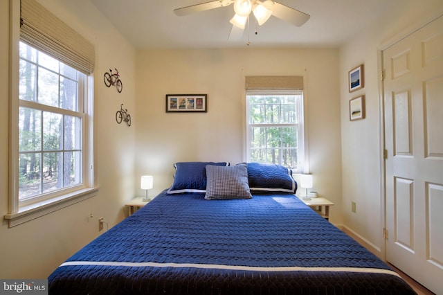 bedroom featuring baseboards, multiple windows, and ceiling fan