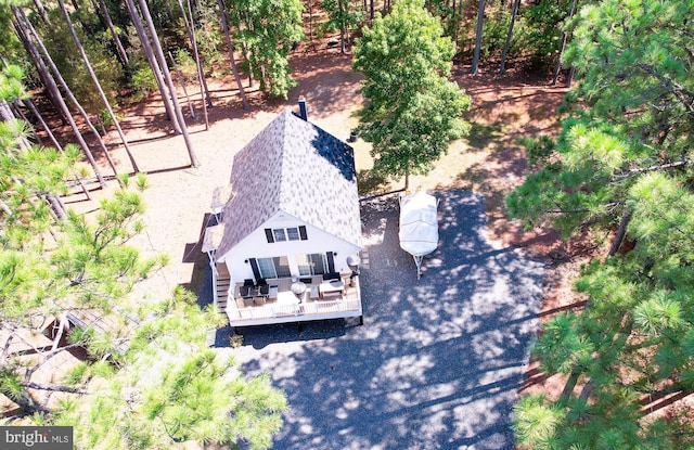 bird's eye view