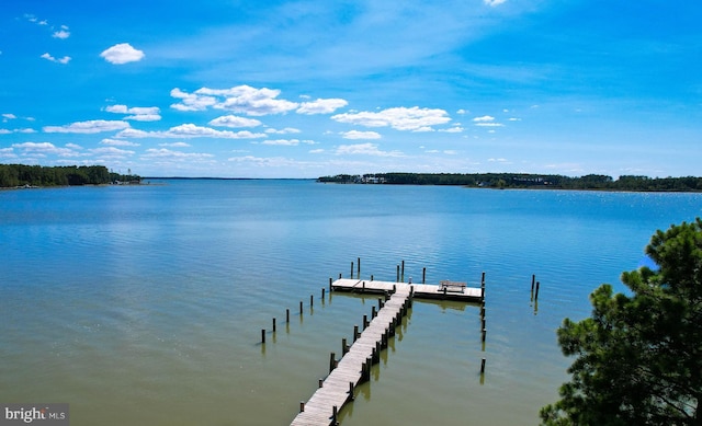 dock area with a water view