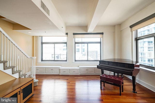 miscellaneous room with plenty of natural light and dark hardwood / wood-style floors