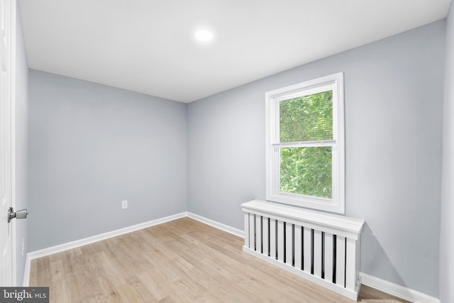 unfurnished room featuring light wood-type flooring and plenty of natural light