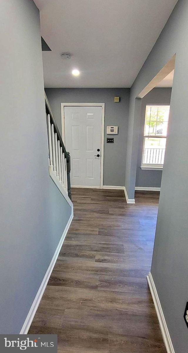 foyer entrance with dark hardwood / wood-style floors