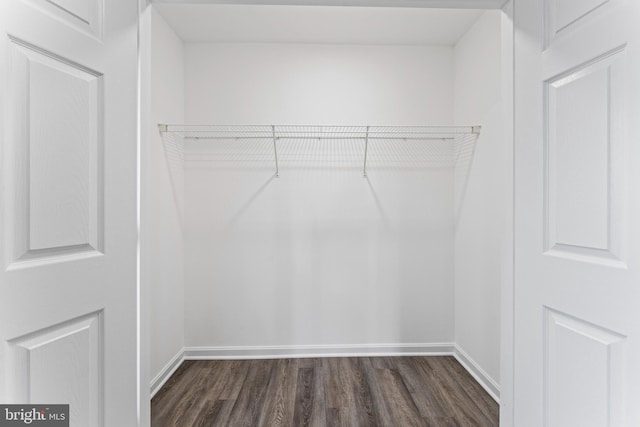 walk in closet with dark hardwood / wood-style floors