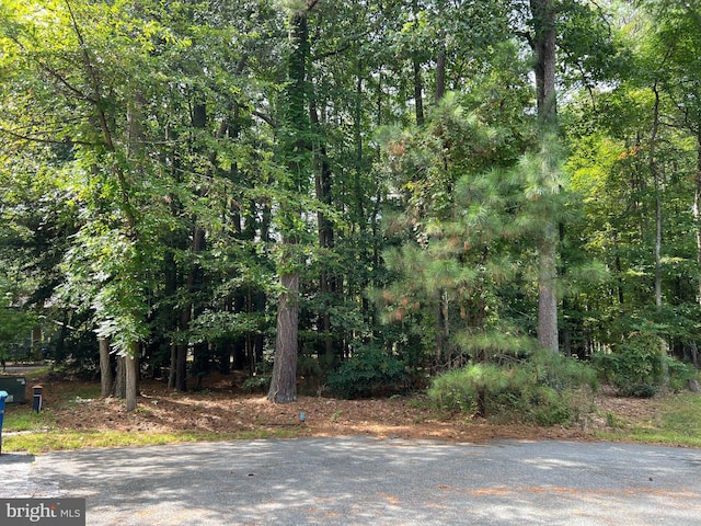 14710 Jennifer Ct, Issue MD, 20645 land for sale