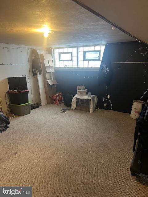 basement featuring carpet