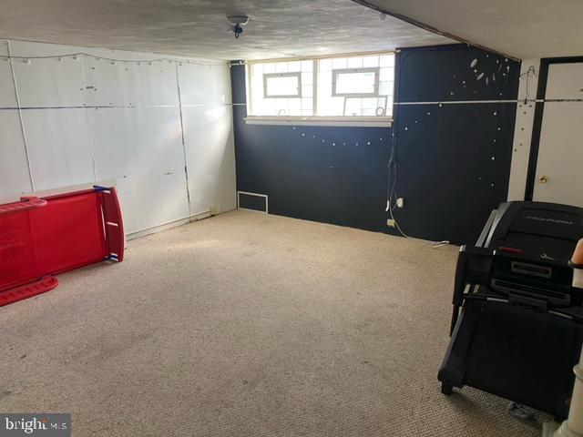 basement with carpet