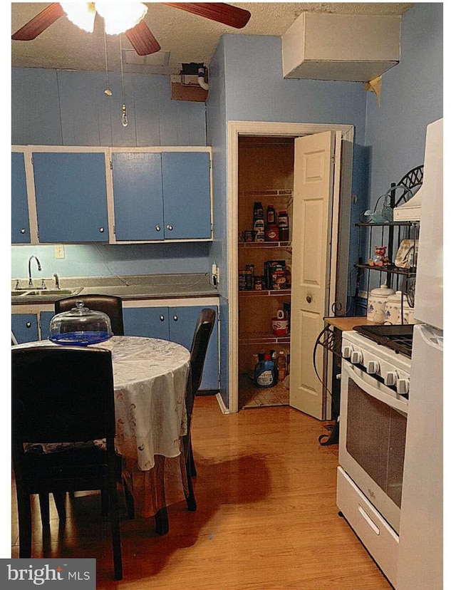 kitchen with light wood-type flooring, white appliances, ceiling fan, sink, and blue cabinetry