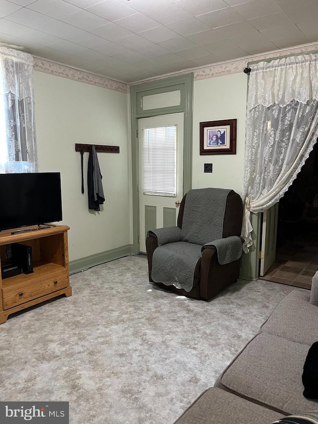 living room with carpet