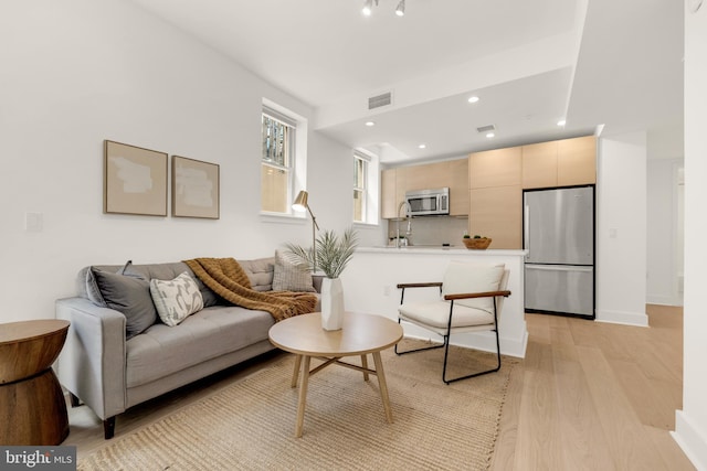 living room with light wood-type flooring