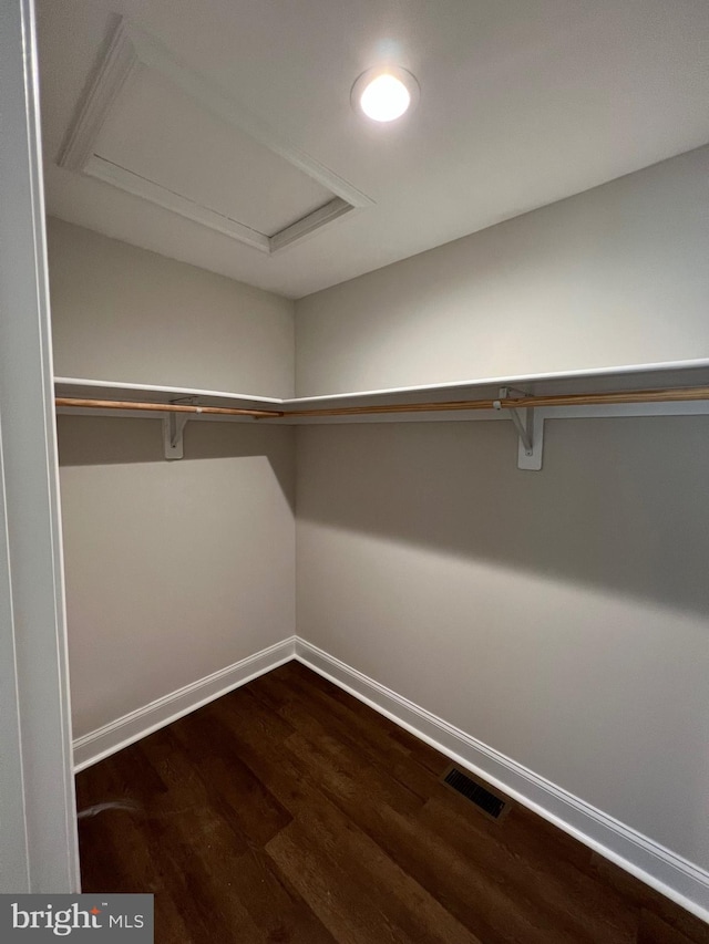 spacious closet with dark wood-type flooring