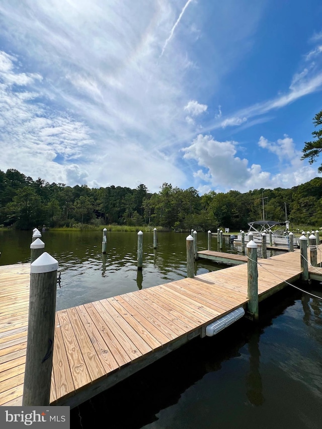 dock area featuring a water view