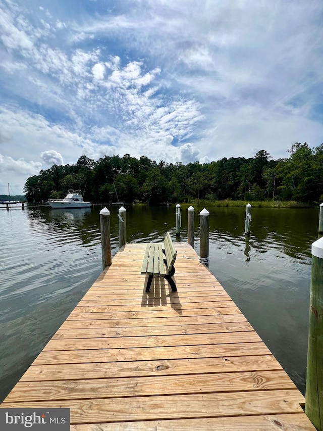 dock area featuring a water view