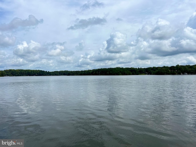 view of water feature