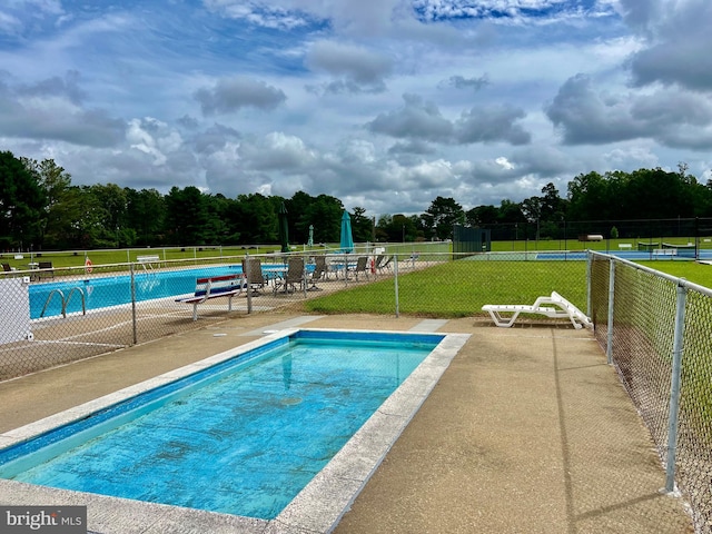 view of pool featuring a patio area and a yard