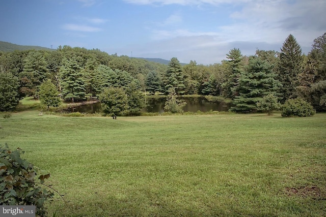 view of yard with a water view