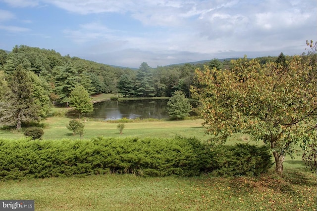 view of home's community with a lawn and a water view