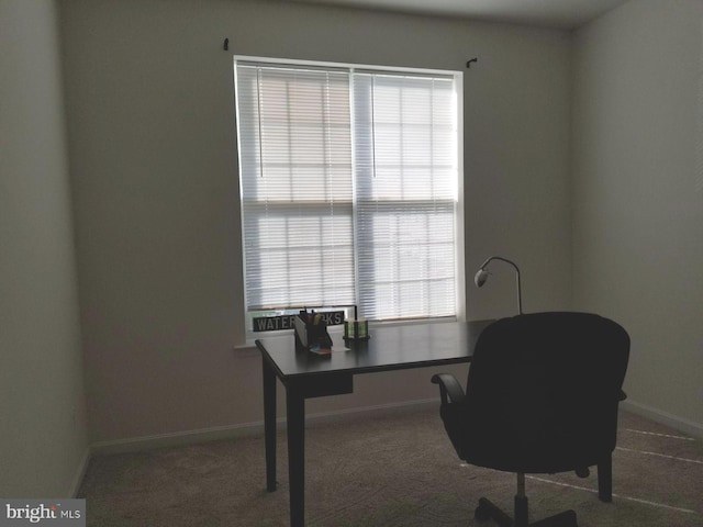 carpeted office space featuring a wealth of natural light