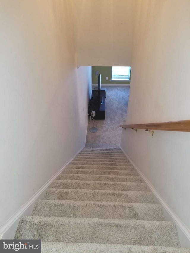 staircase with carpet floors