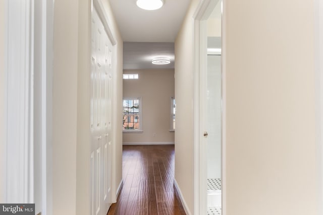 corridor with dark wood-type flooring