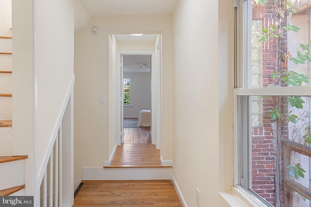 hall with wood-type flooring