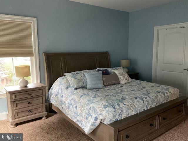 view of carpeted bedroom