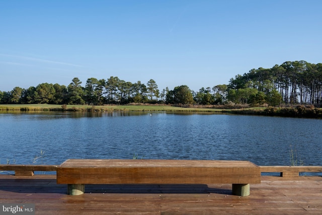 property view of water with a boat dock