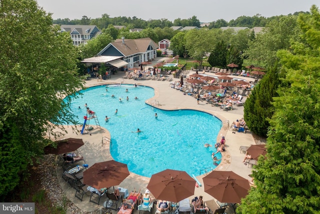 view of swimming pool with a patio