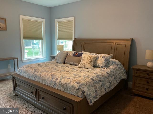 view of carpeted bedroom