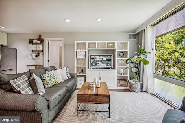 living room featuring light hardwood / wood-style floors