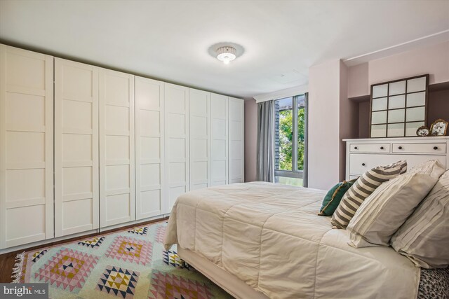 bedroom with a closet and dark hardwood / wood-style flooring