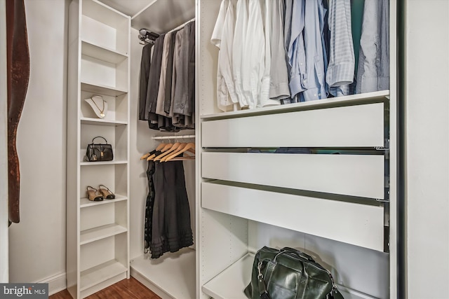 walk in closet with dark hardwood / wood-style flooring