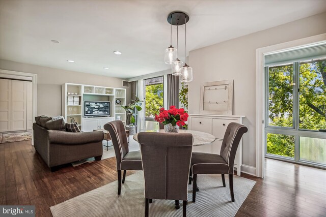 dining space with dark hardwood / wood-style floors