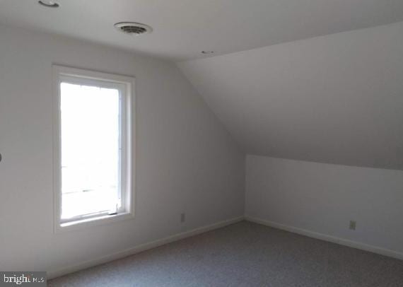 additional living space featuring carpet, lofted ceiling, and plenty of natural light