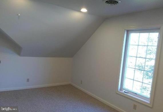 additional living space with a wealth of natural light, lofted ceiling, and carpet flooring