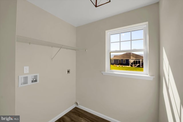 laundry room with hookup for an electric dryer, washer hookup, and dark wood-type flooring