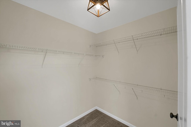 walk in closet with dark colored carpet