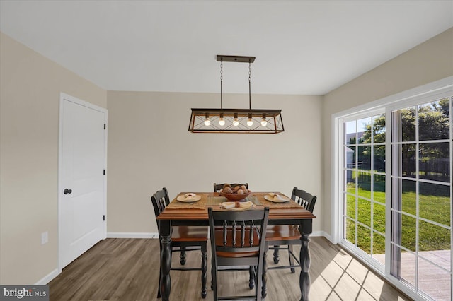 dining area with wood-type flooring