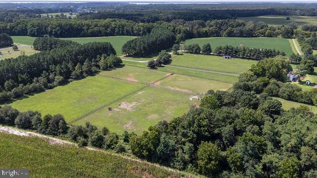 drone / aerial view featuring a rural view