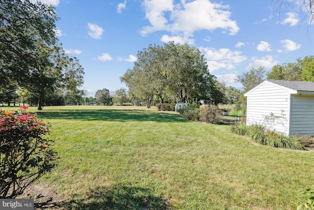 view of yard featuring a shed