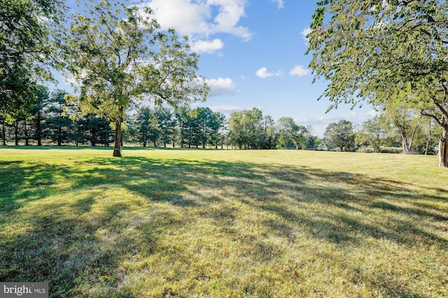 view of yard