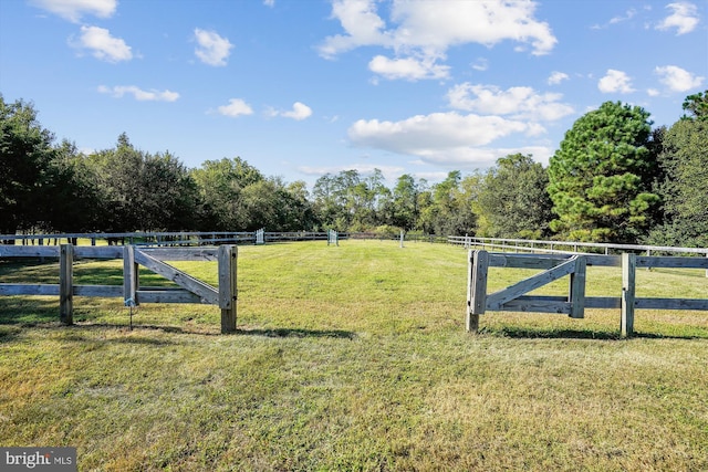 view of yard featuring a rural view