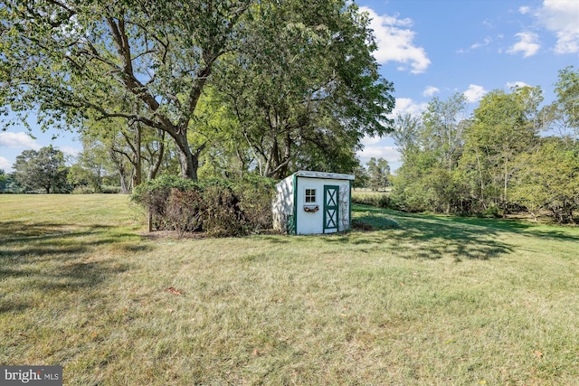 view of yard with a storage shed