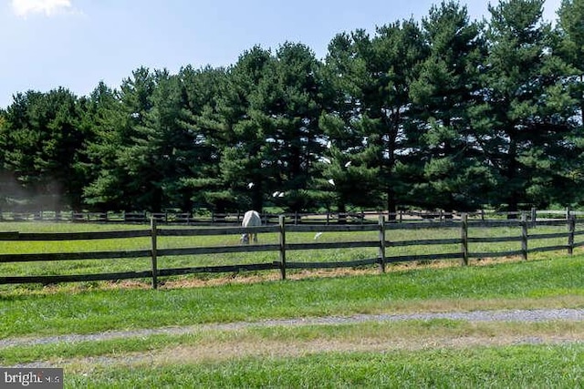 view of yard with a rural view