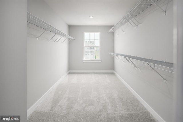 spacious closet with light colored carpet