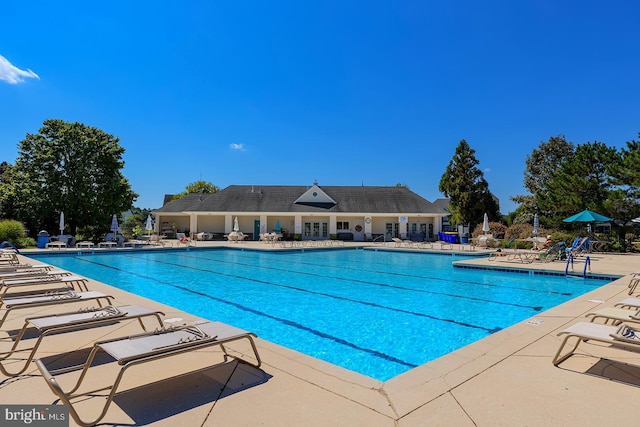 view of swimming pool featuring a patio area