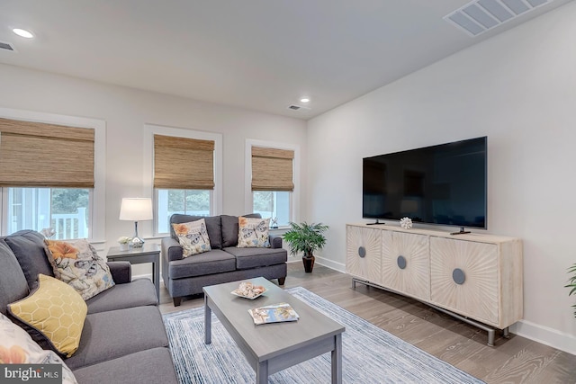 living room featuring plenty of natural light and hardwood / wood-style floors