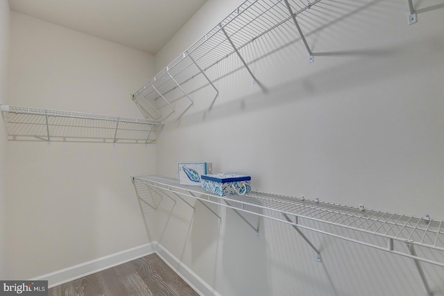 spacious closet featuring hardwood / wood-style floors