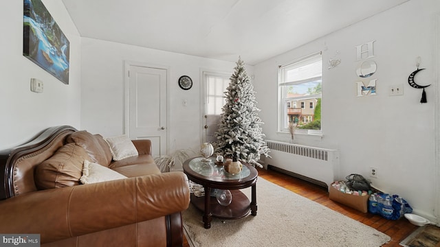 living room featuring hardwood / wood-style floors and radiator heating unit